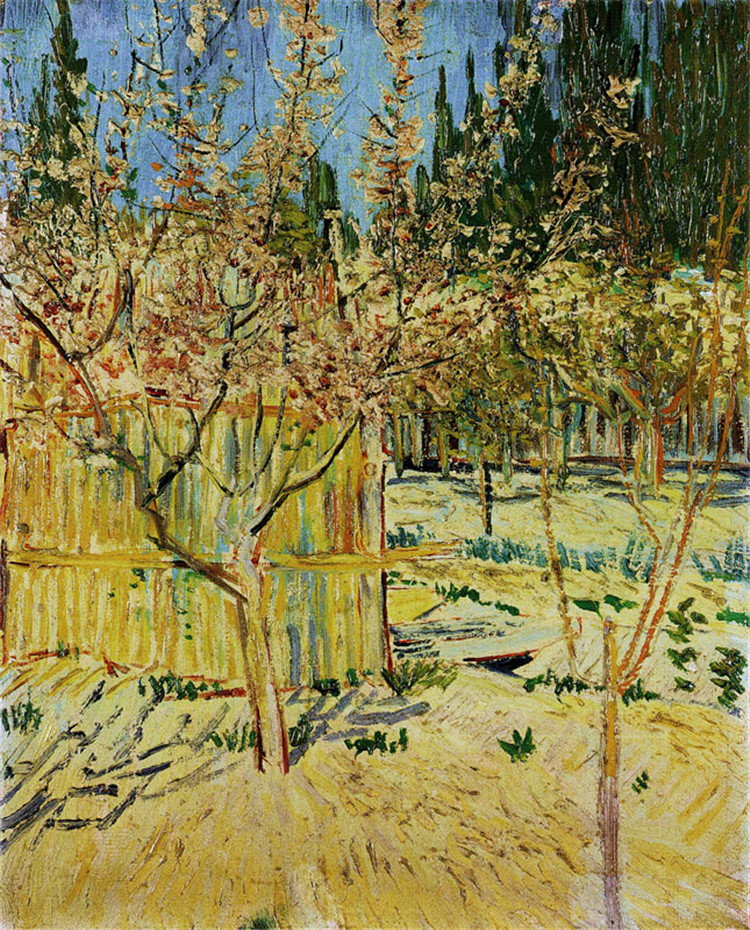 Apricot Trees in Blossom Willem Van Gogh Oil Painting